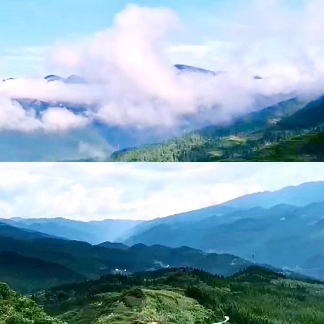 萬順叫車-本地駕駛員熟人熟路