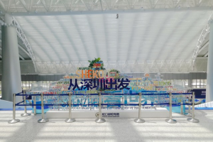 大灣區(qū)建設(shè)者返鄉(xiāng)過年 萬(wàn)順叫車“陸空”雙護(hù)航